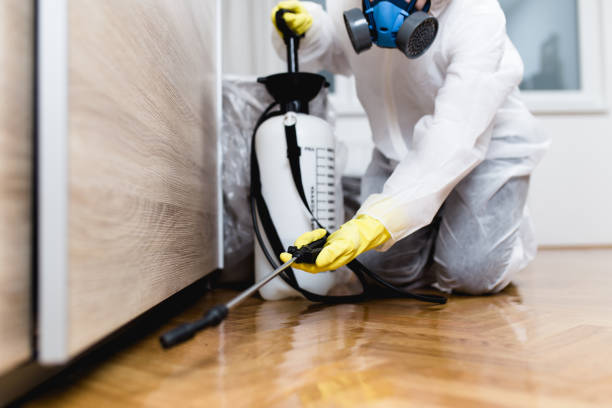 Best Rat Extermination Near Me  in La Palma, CA