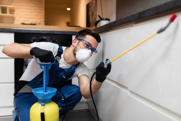 Best Cockroach Control Services  in La Palma, CA