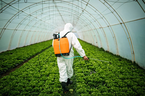 Best Pest Removal Services  in La Palma, CA