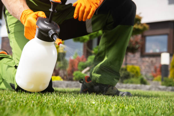 Pest Control for Restaurants in La Palma, CA