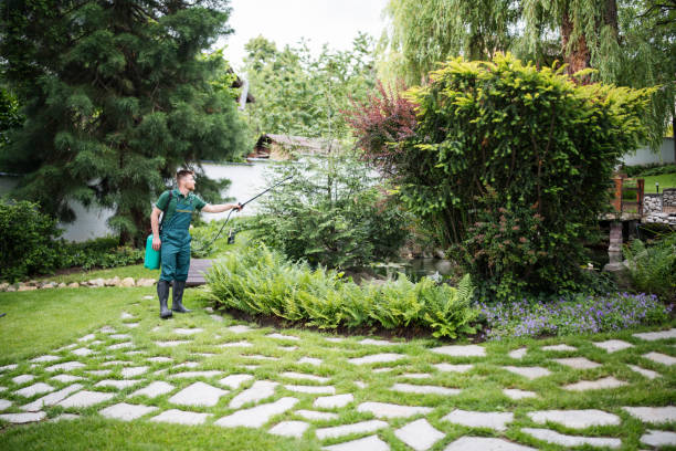 Best Wasp Removal Services  in La Palma, CA