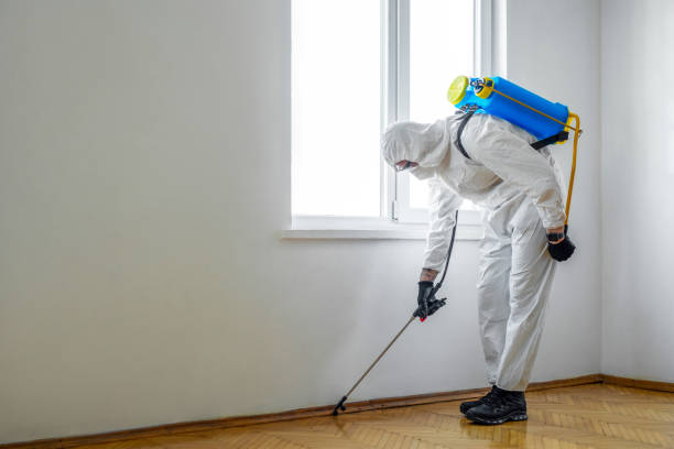 La Palma, CA Pest Control Company