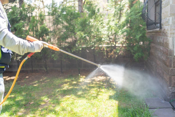 Best Mosquito Control Services  in La Palma, CA
