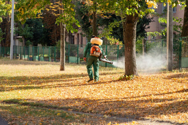 Best Wildlife Control Services  in La Palma, CA