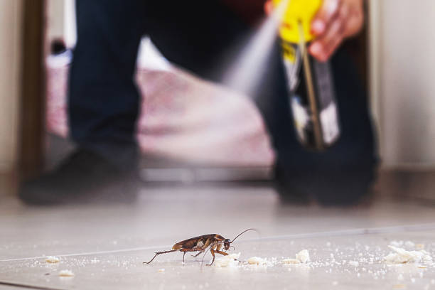 Best Pest Inspection Near Me  in La Palma, CA